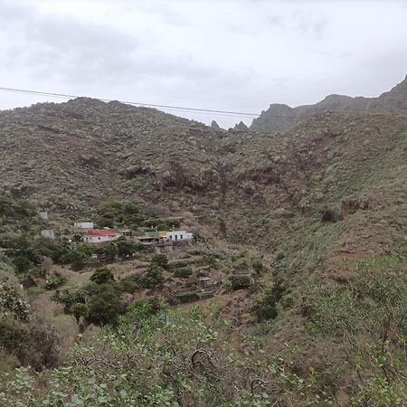 סנטה קרוז דה טנריף Tenerife מראה חיצוני תמונה