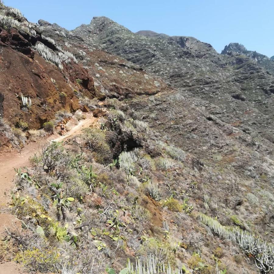 סנטה קרוז דה טנריף Tenerife מראה חיצוני תמונה