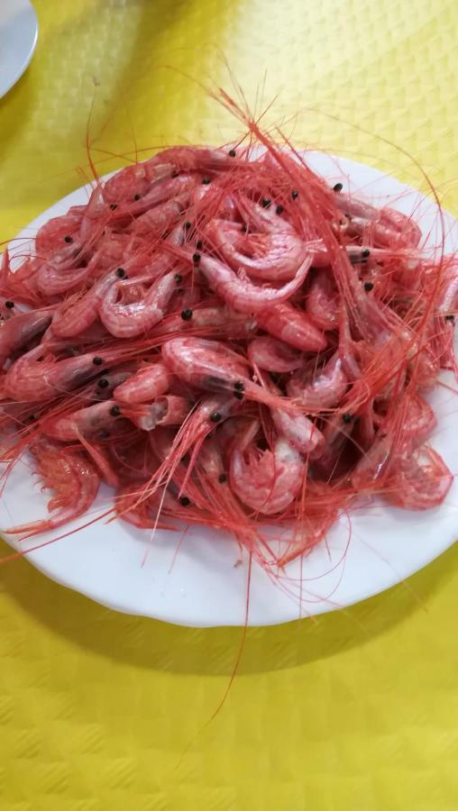 סנטה קרוז דה טנריף Tenerife מראה חיצוני תמונה