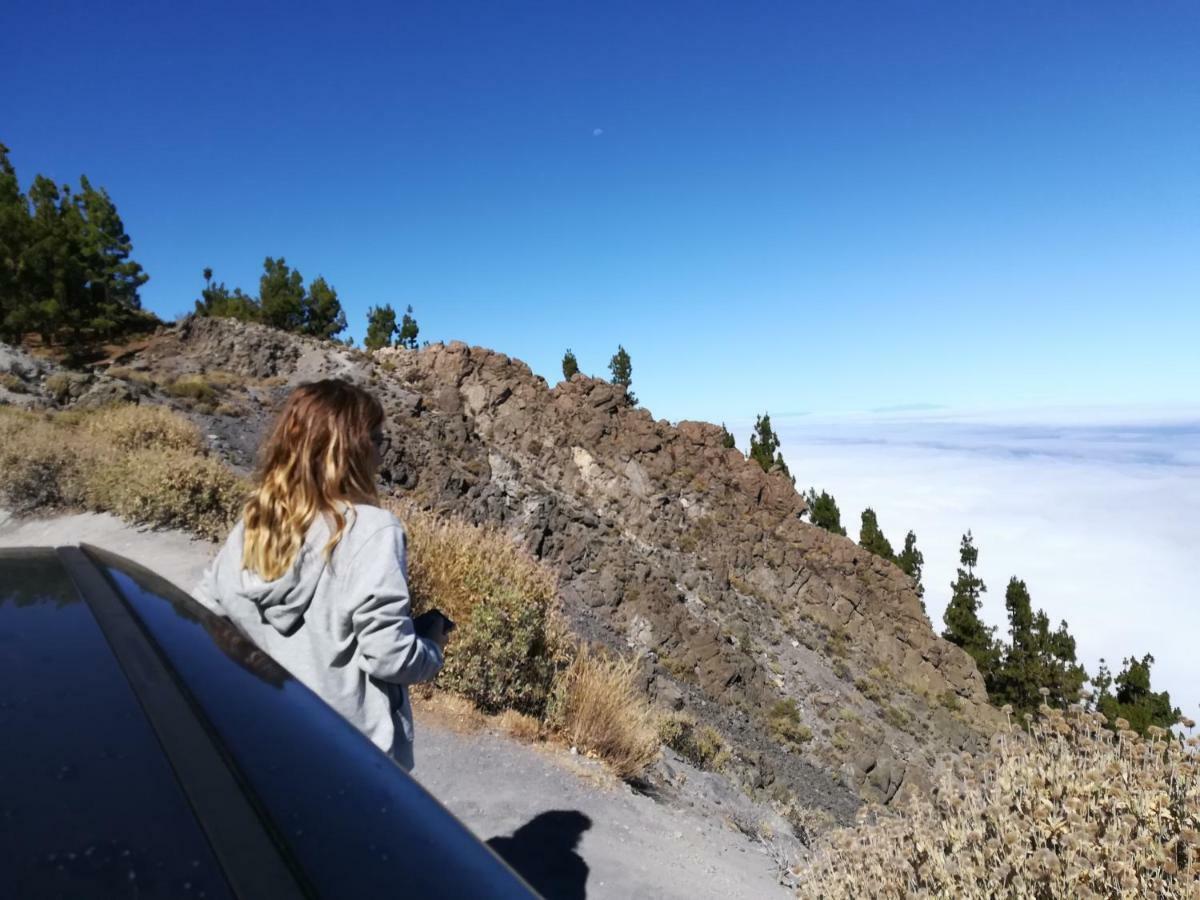 סנטה קרוז דה טנריף Tenerife מראה חיצוני תמונה