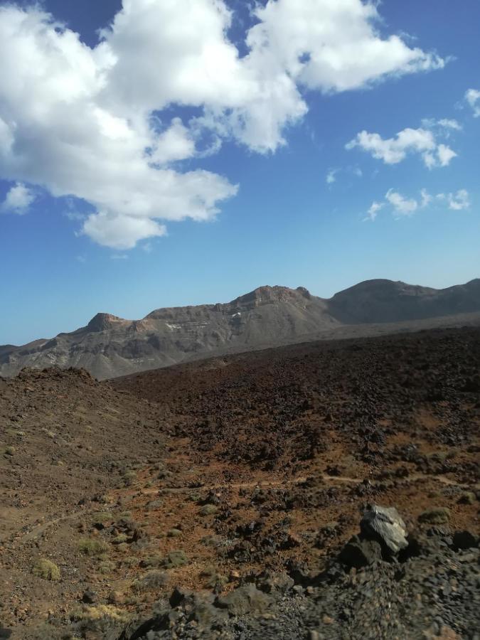 סנטה קרוז דה טנריף Tenerife מראה חיצוני תמונה